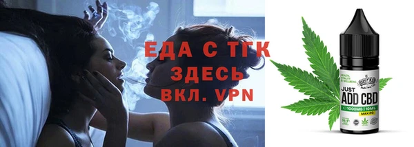 индика Абаза