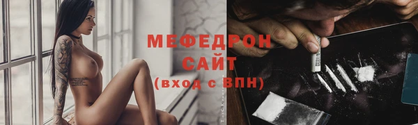 индика Абаза