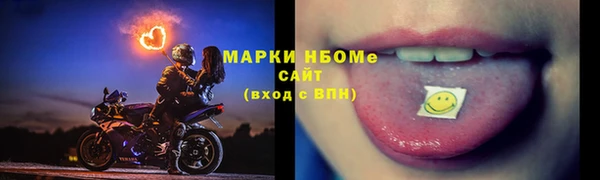 индика Абаза