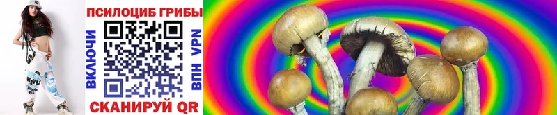 цена Сатка Псилоцибиновые грибы мухоморы